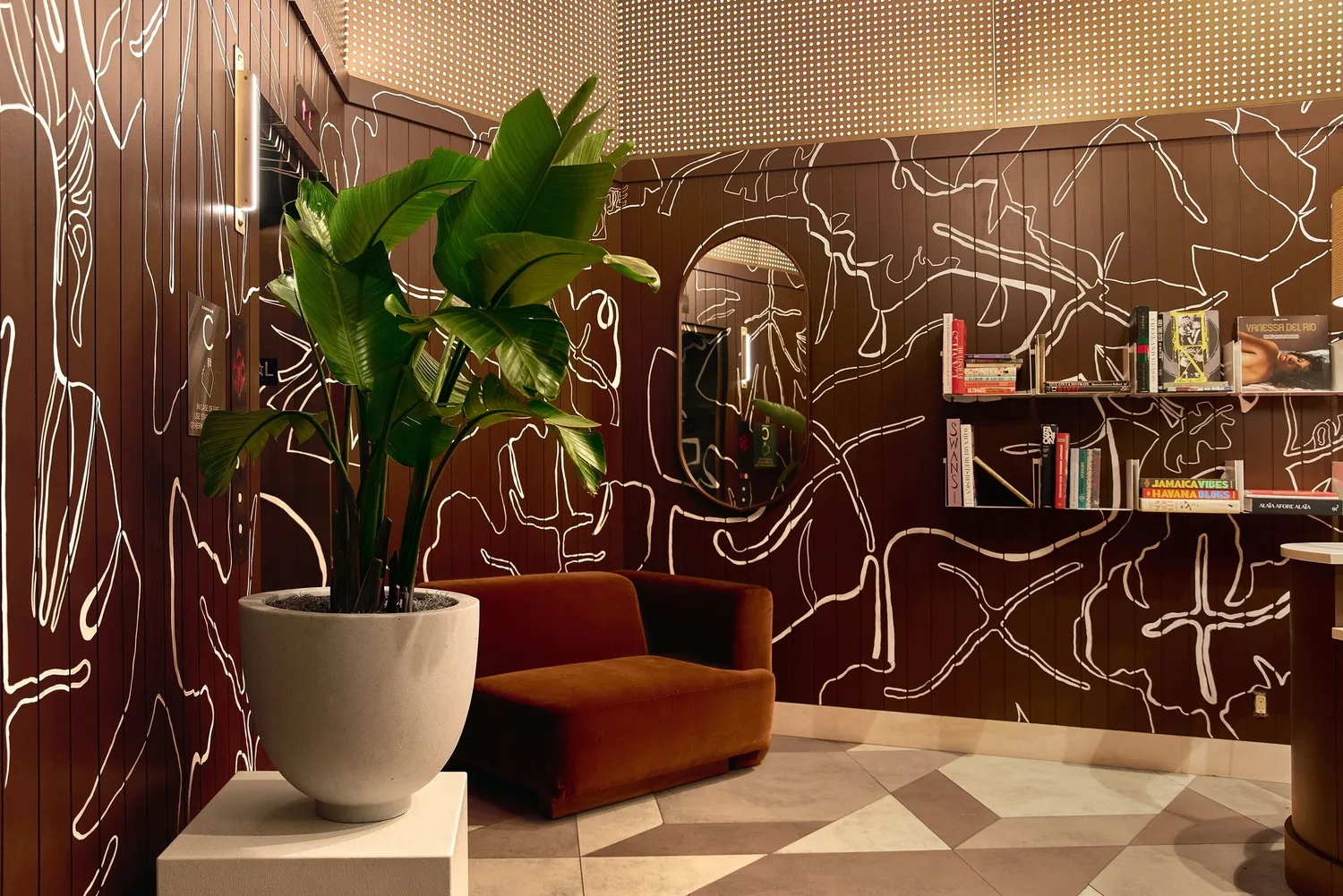 edit-Aliya45387 chef