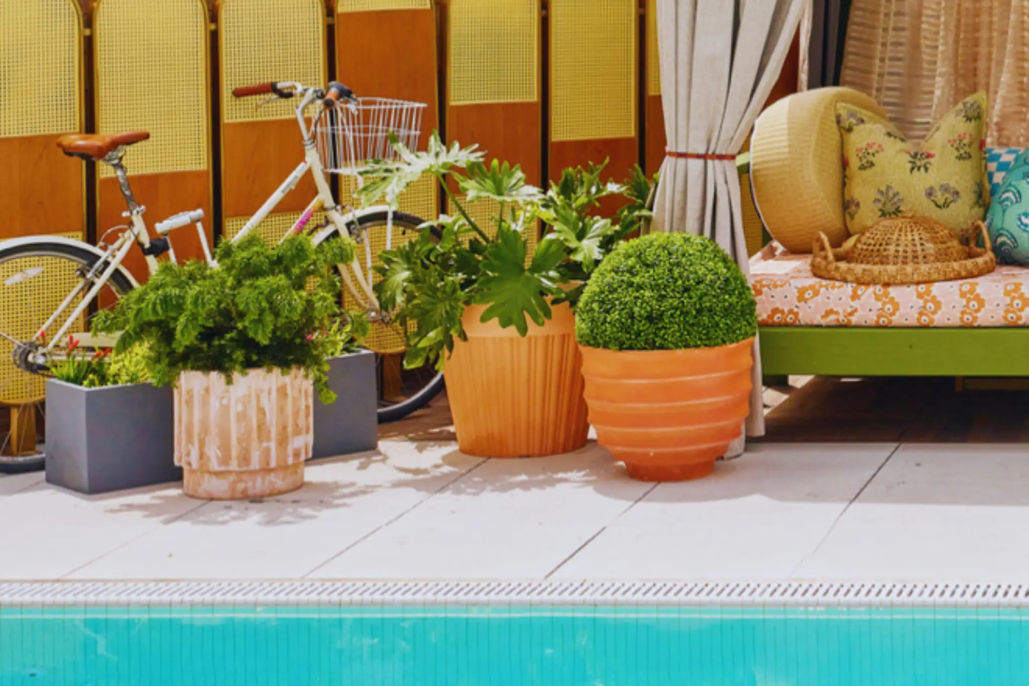 Executive Chef & Co-Founder webp A quirky white vase shaped like a buttocks, filled with apple slices, sprigs of rosemary, and a stick of cinnamon on a wooden table.